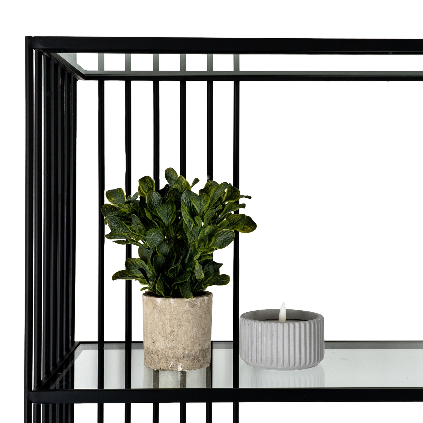 Potted plant on a glass table with a black metal frame in the background