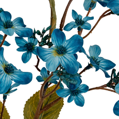 Close-up of blue flowers with green leaves on a white background