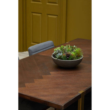 Bowl of succulents on a wooden table with a green door in the background