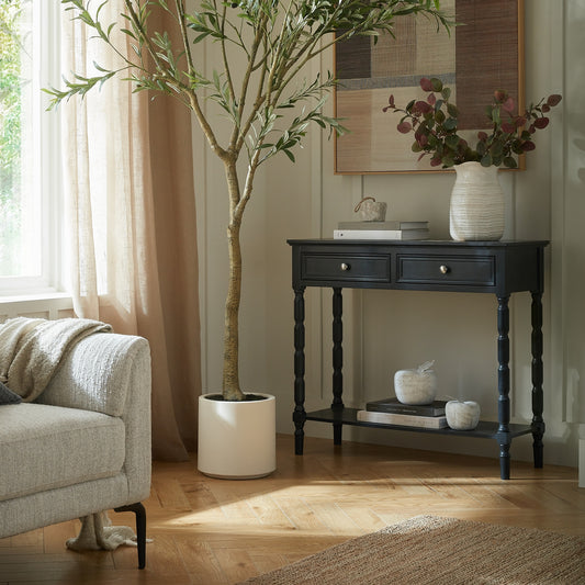 Living room with a console table, armchair, and decorative plant.