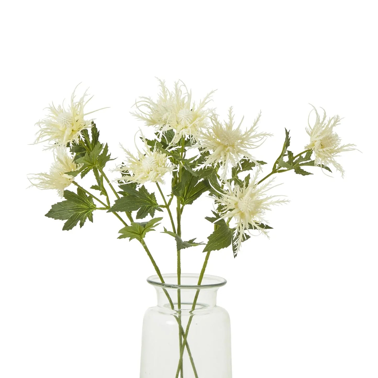 White flowers in a clear glass vase on a white background