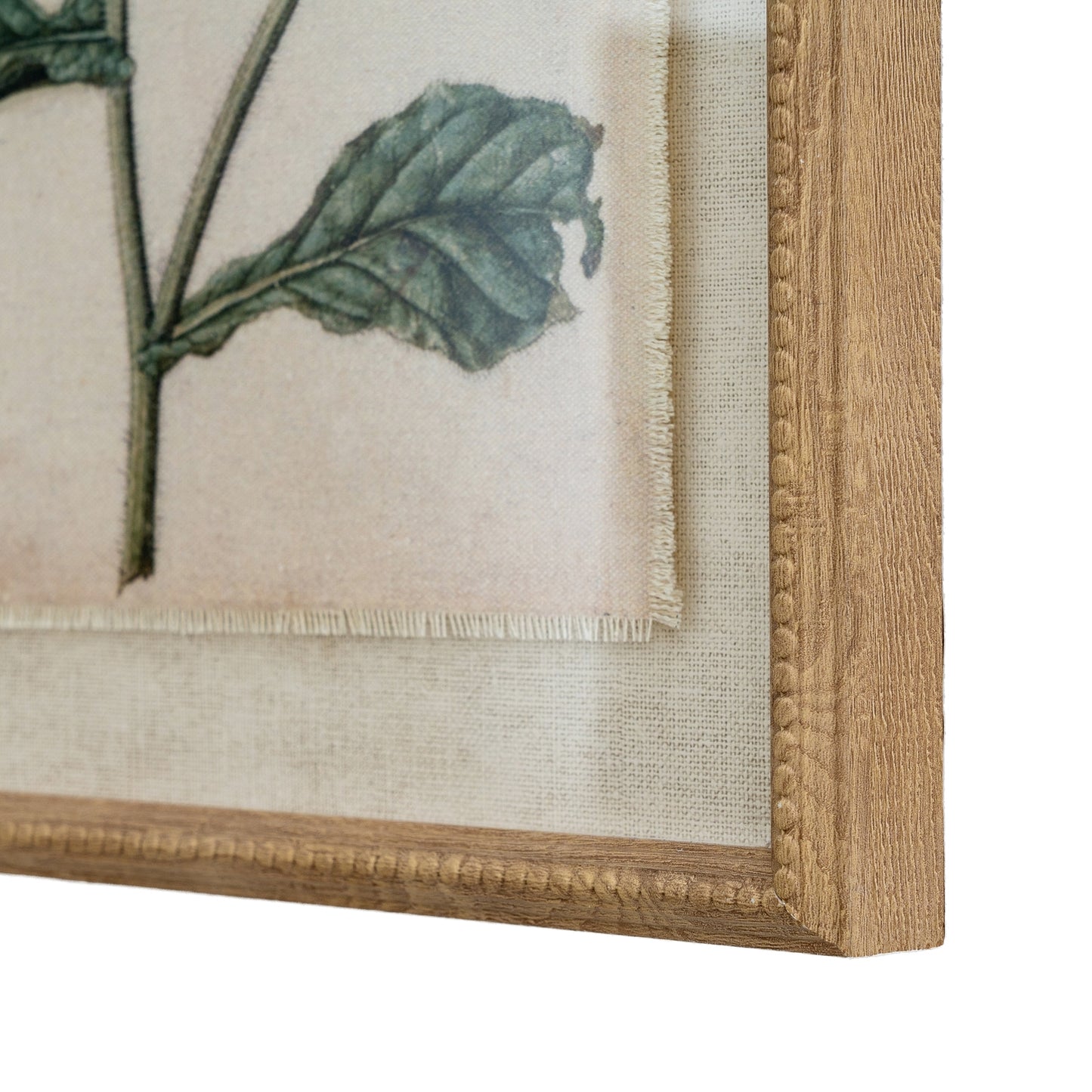Close-up of a framed botanical illustration with a wooden frame.