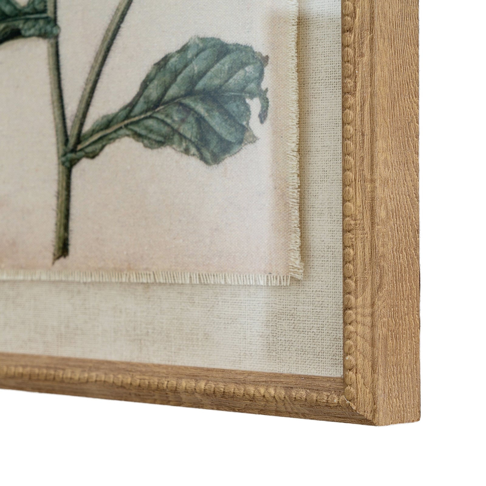 Close-up of a framed botanical illustration with a wooden frame.