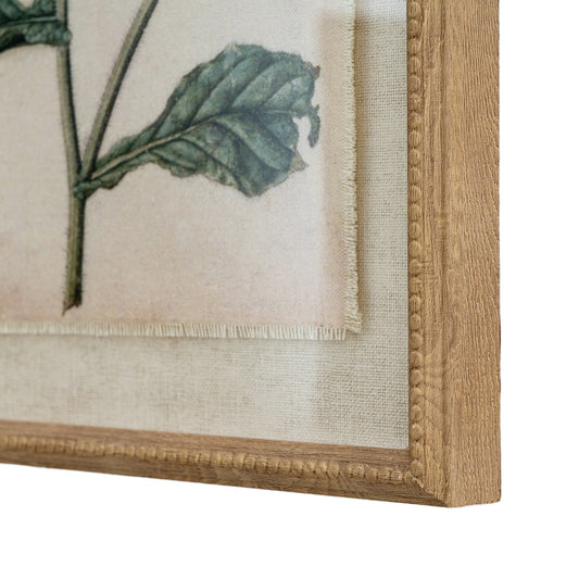 Close-up of a framed botanical illustration with a wooden frame.
