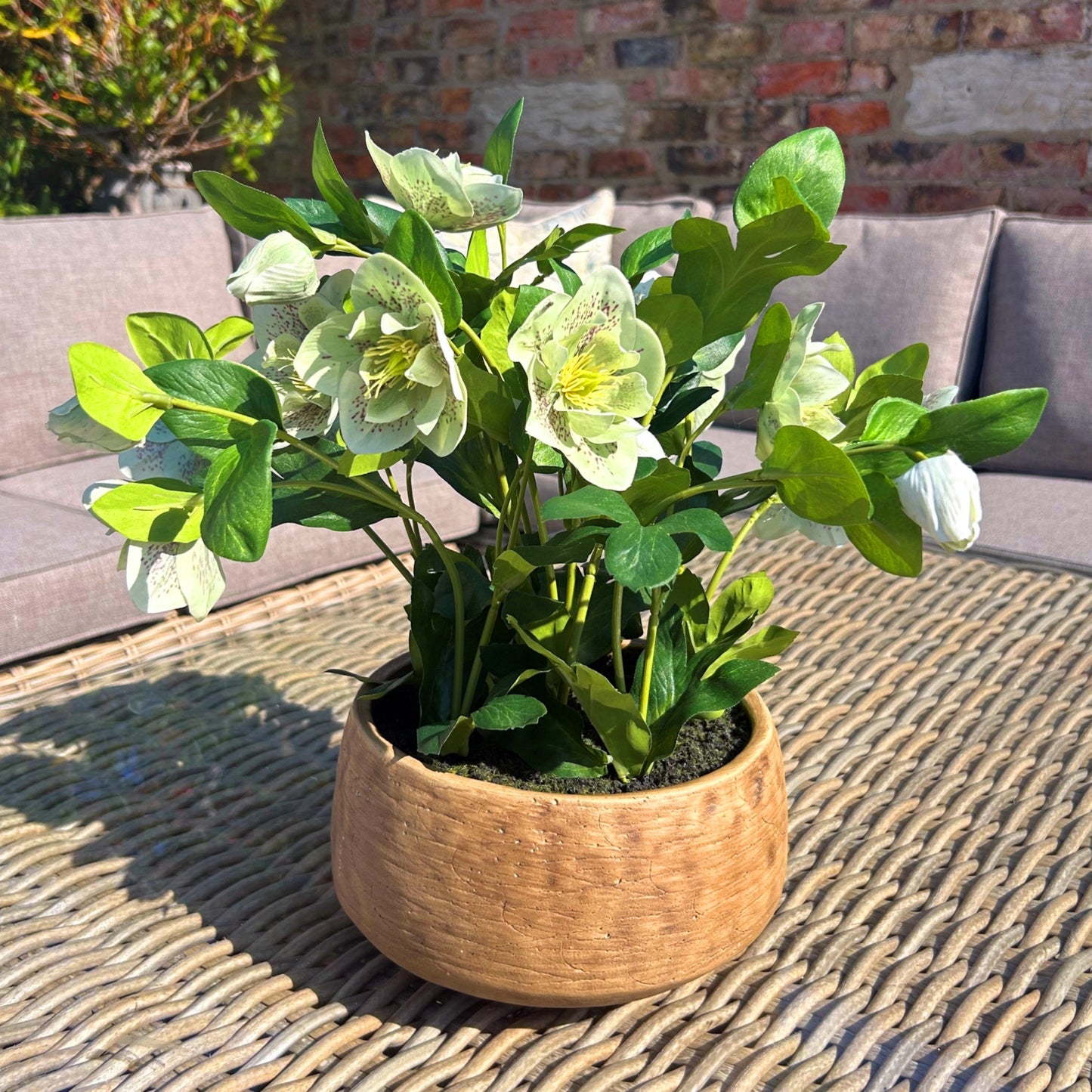 Potted plant on a woven table with a brick wall and sofa in the background