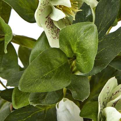 Close-up of a white flower with green leaves on a blurred background