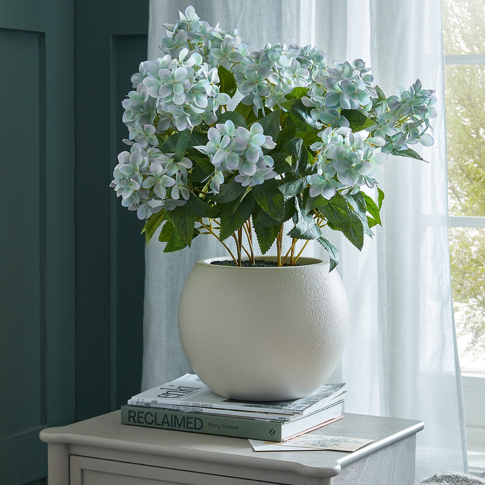 Potted plant on a table with books, against a window with white curtains.
