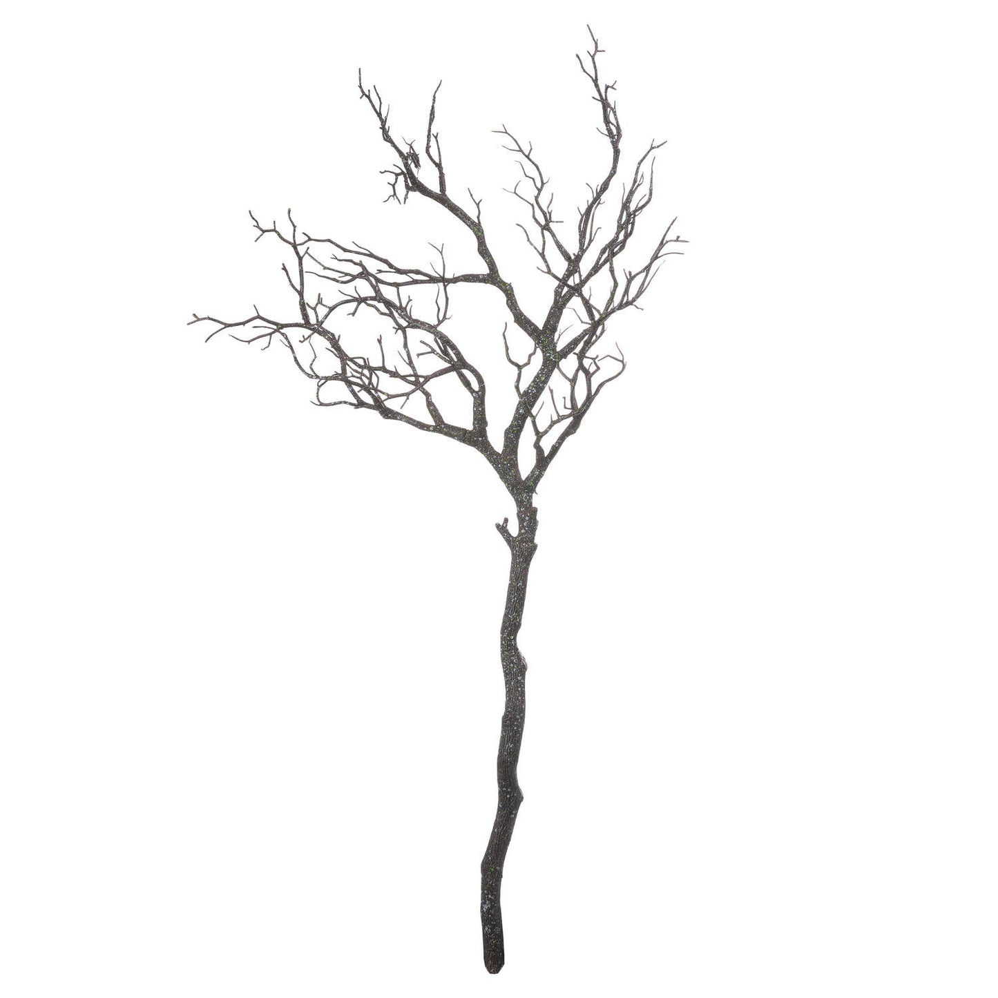Silhouette of a bare tree branch on a white background