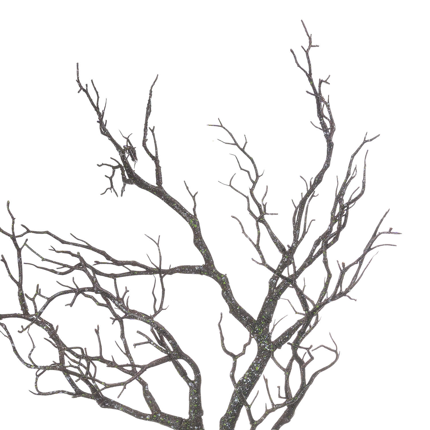 Black tree branches on a white background