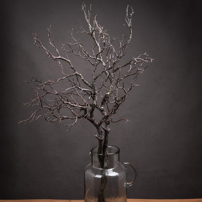 Decorative branch in a glass vase against a dark background