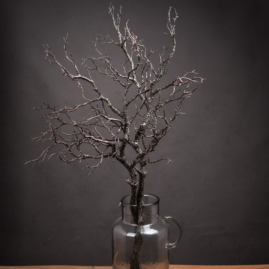 Decorative branch in a glass vase against a dark background
