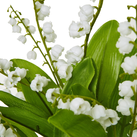 Close-up of white flowers with green leaves on a white background