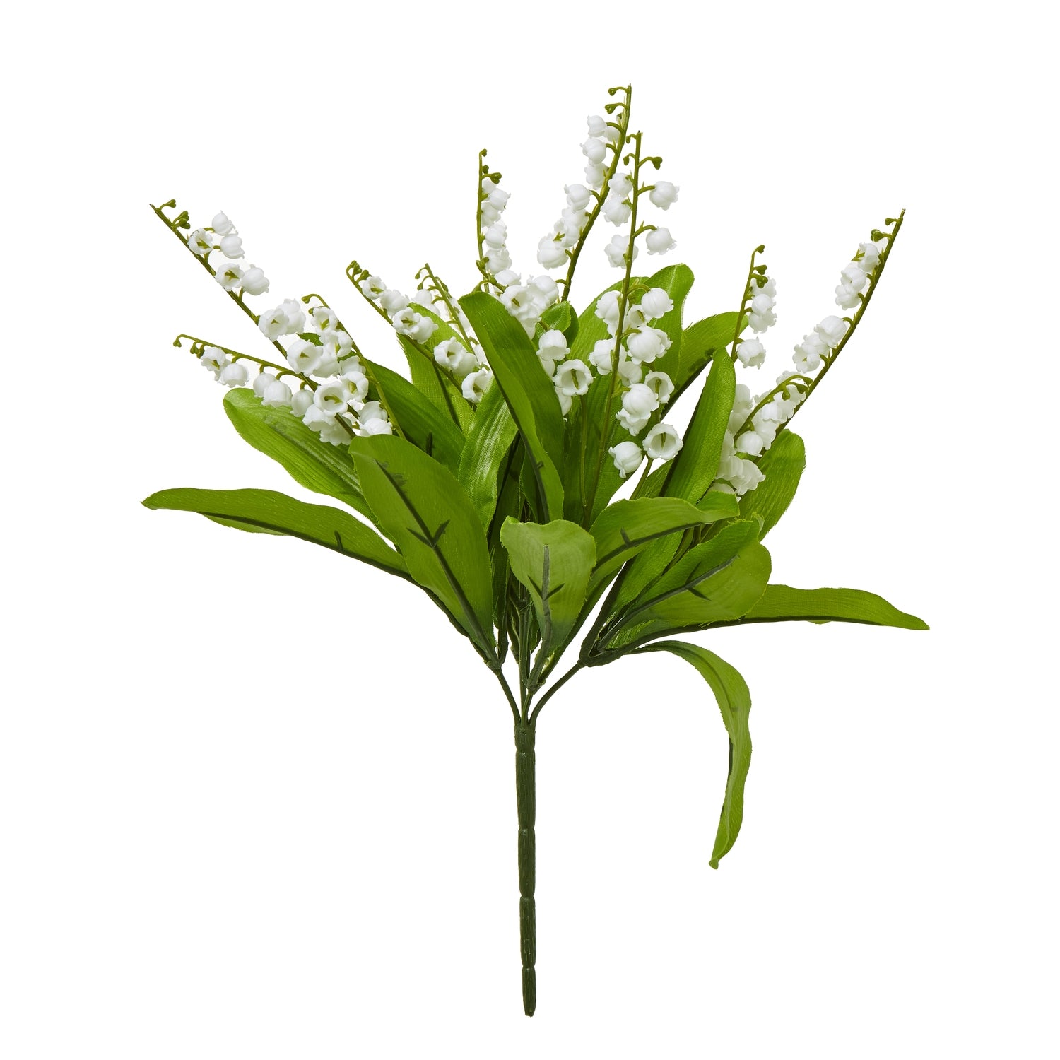 Bouquet of white flowers with green leaves on a white background