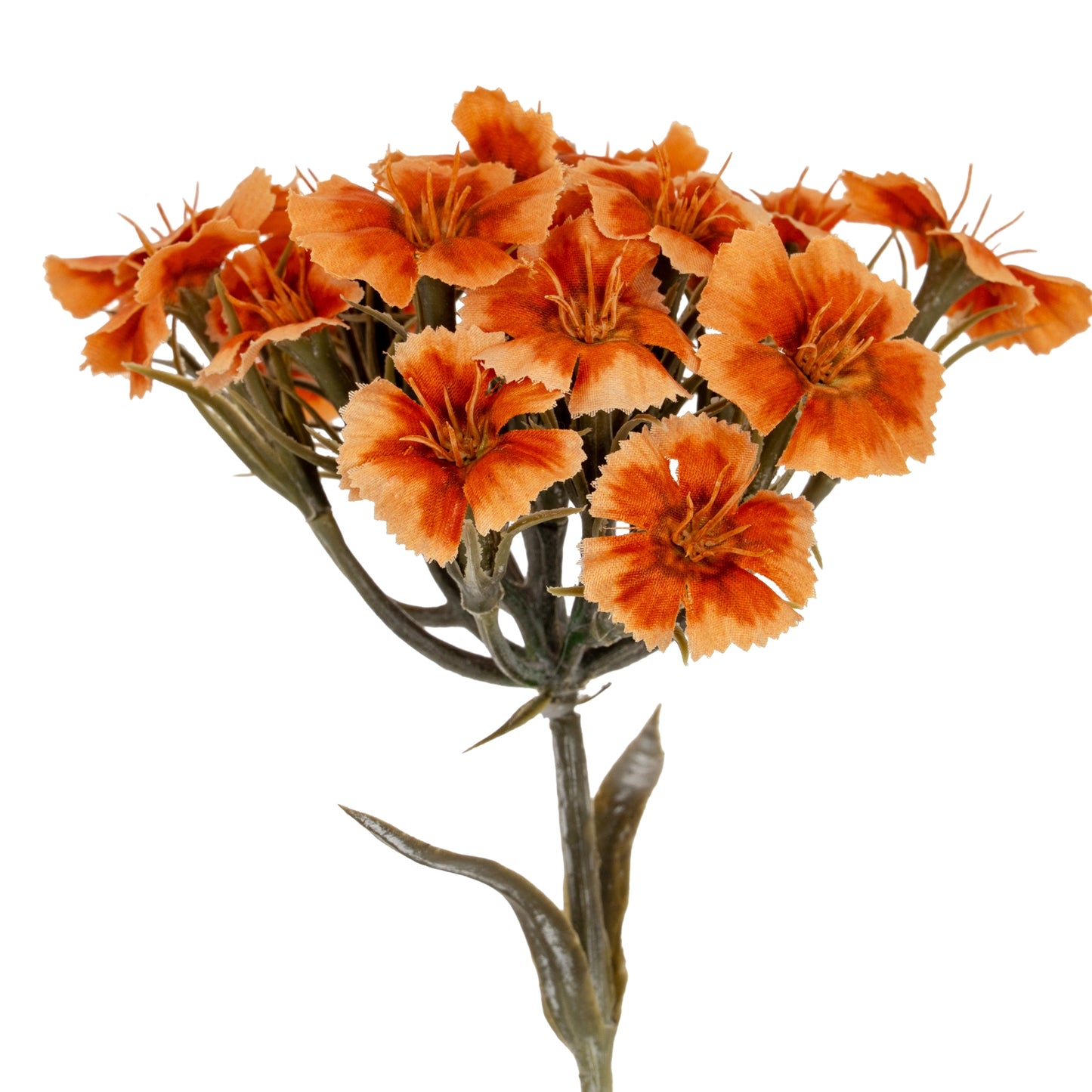 Bouquet of orange flowers on a white background