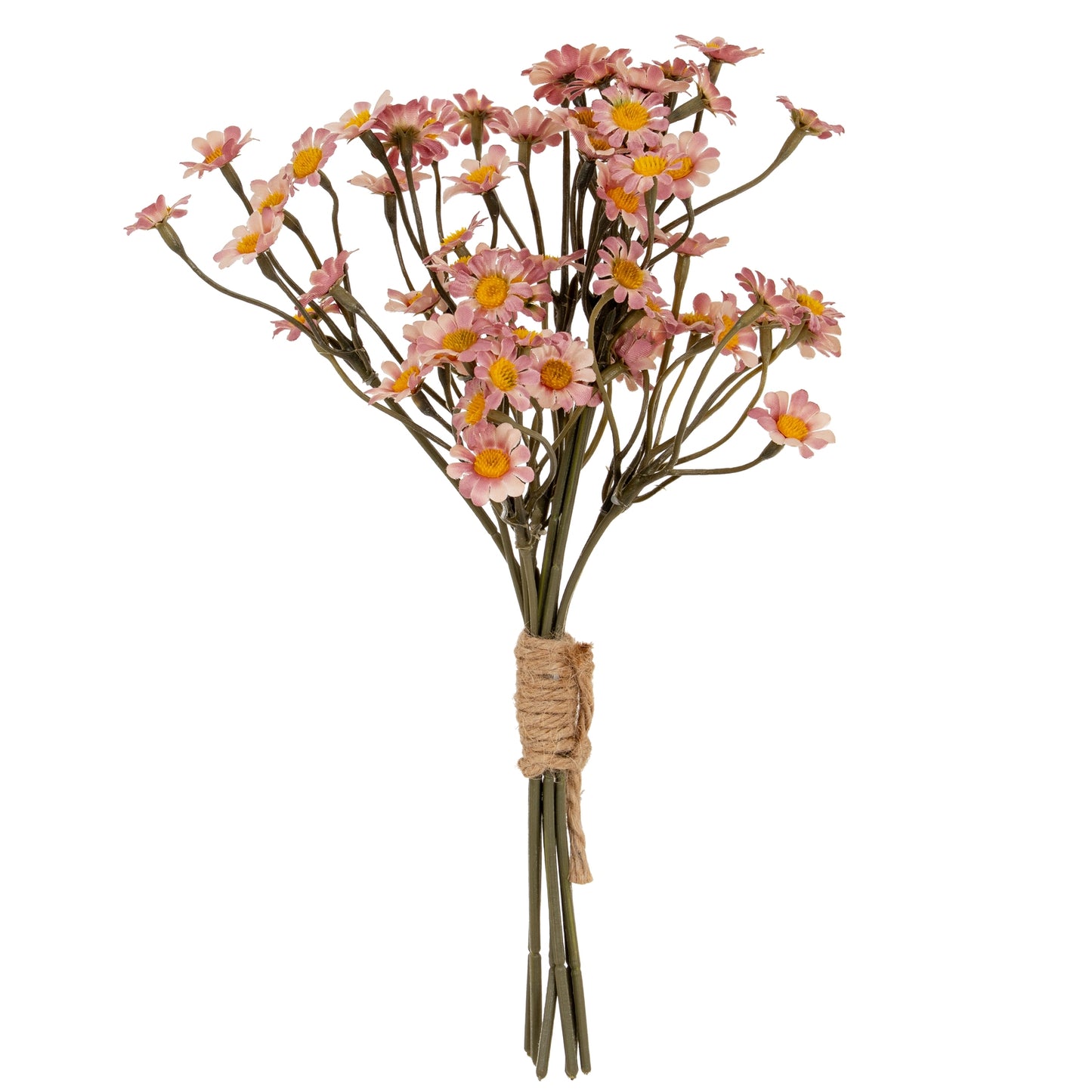 Bouquet of pink flowers tied with twine on a white background