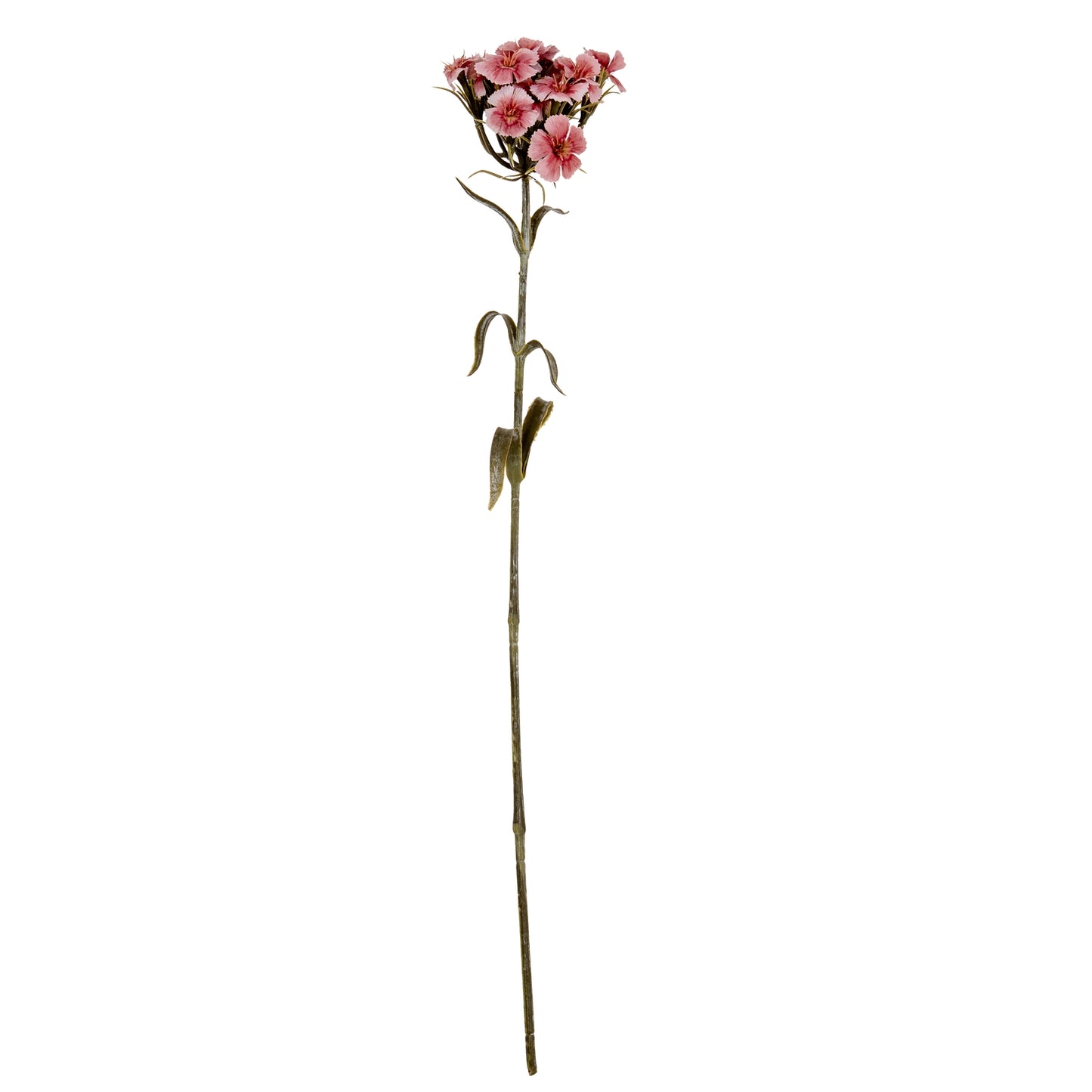 Artificial flower stem with pink flowers on a white background