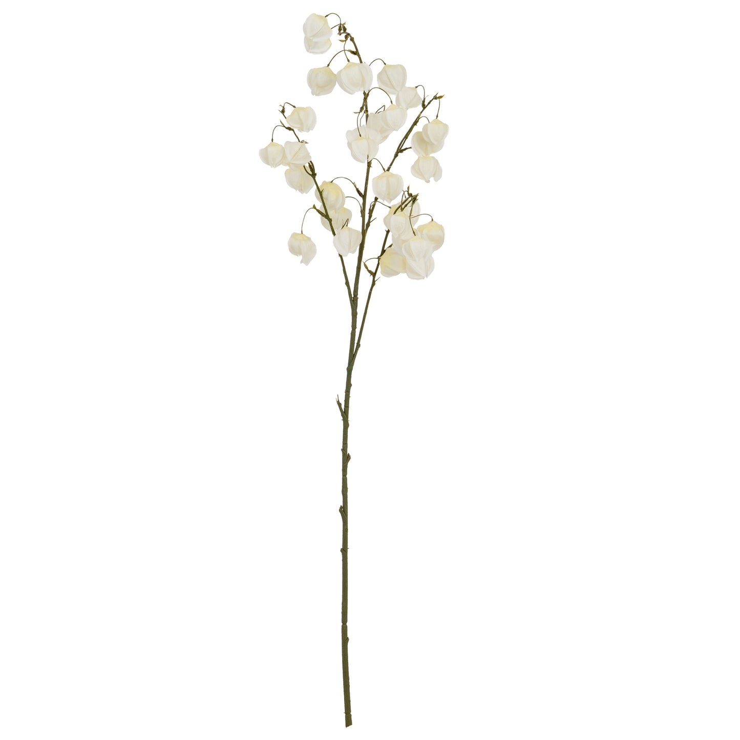Artificial flower branch with white flowers on a white background