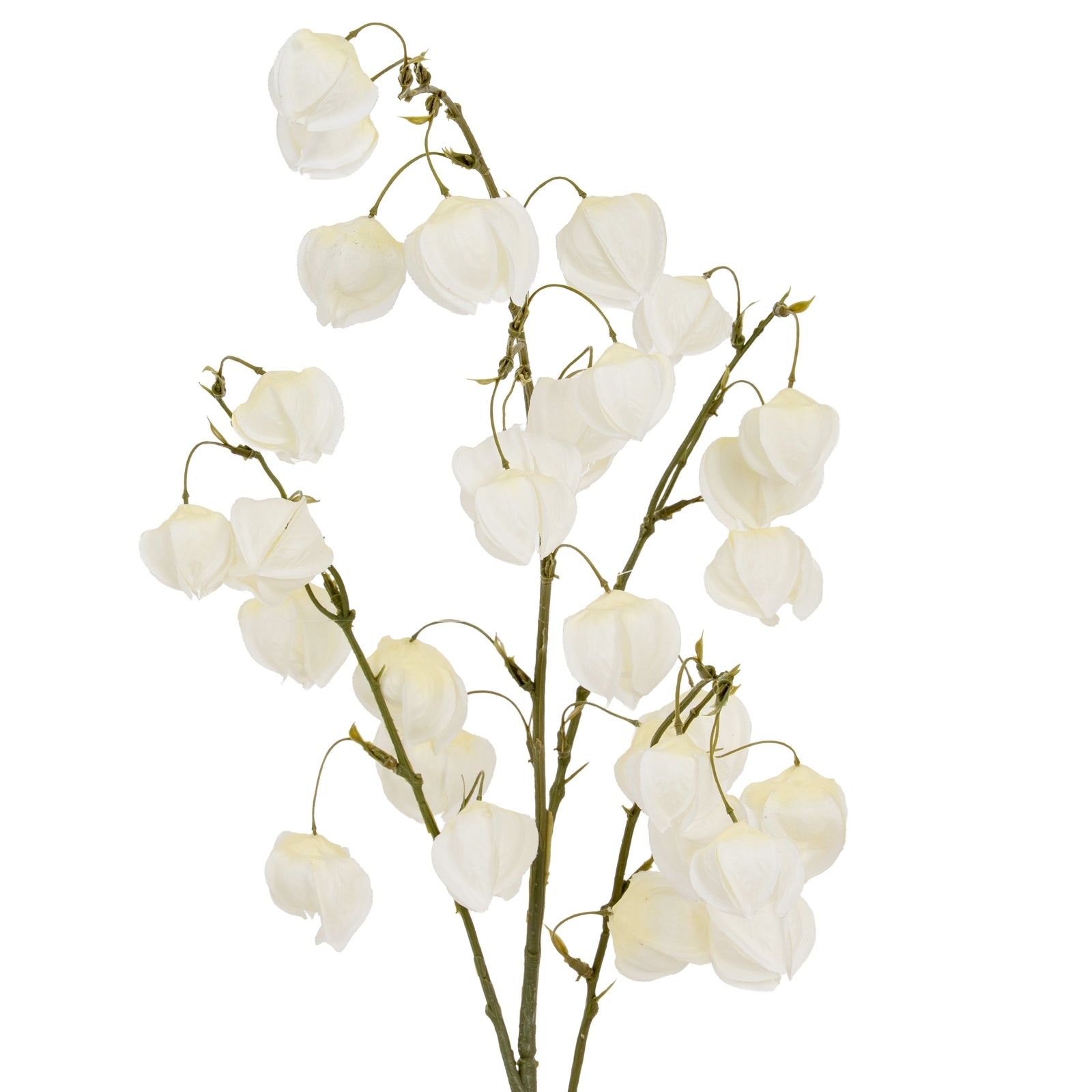 Artificial white flower branch on a white background