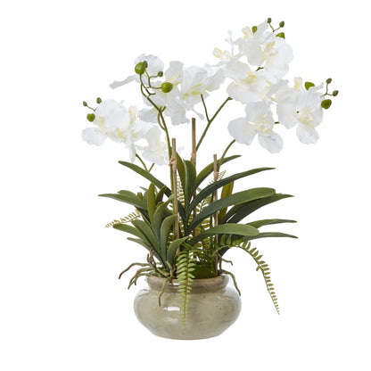 Artificial white orchid plant in a beige pot on a white background