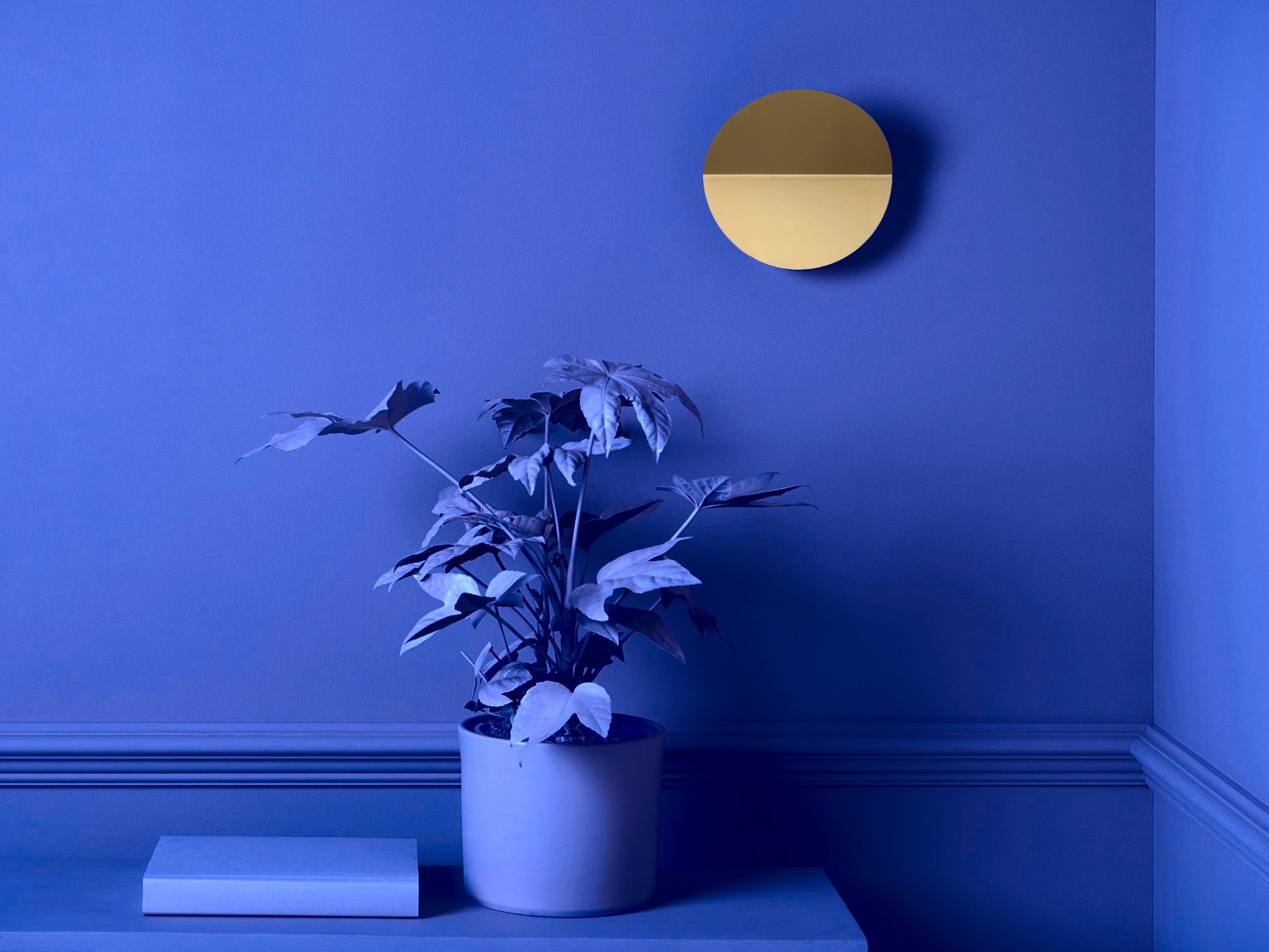 Brass diffuser wall light  Integrated Wall Light BlissVeranda