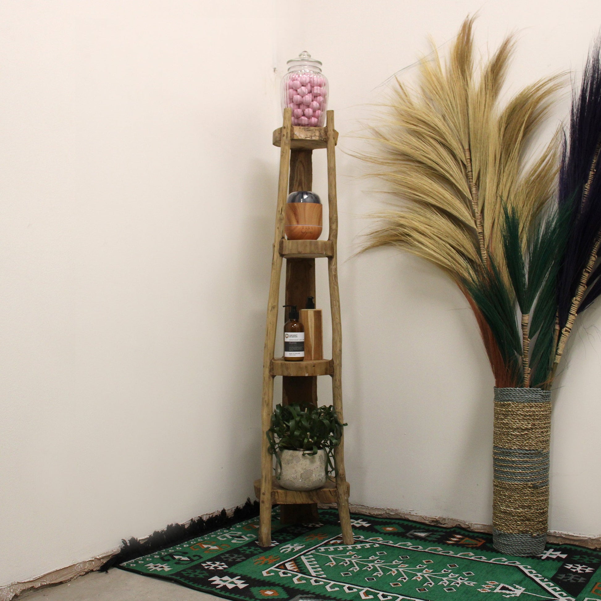 Wooden ladder shelf with decorative items against a white wall, featuring a plant and a large dried plant.