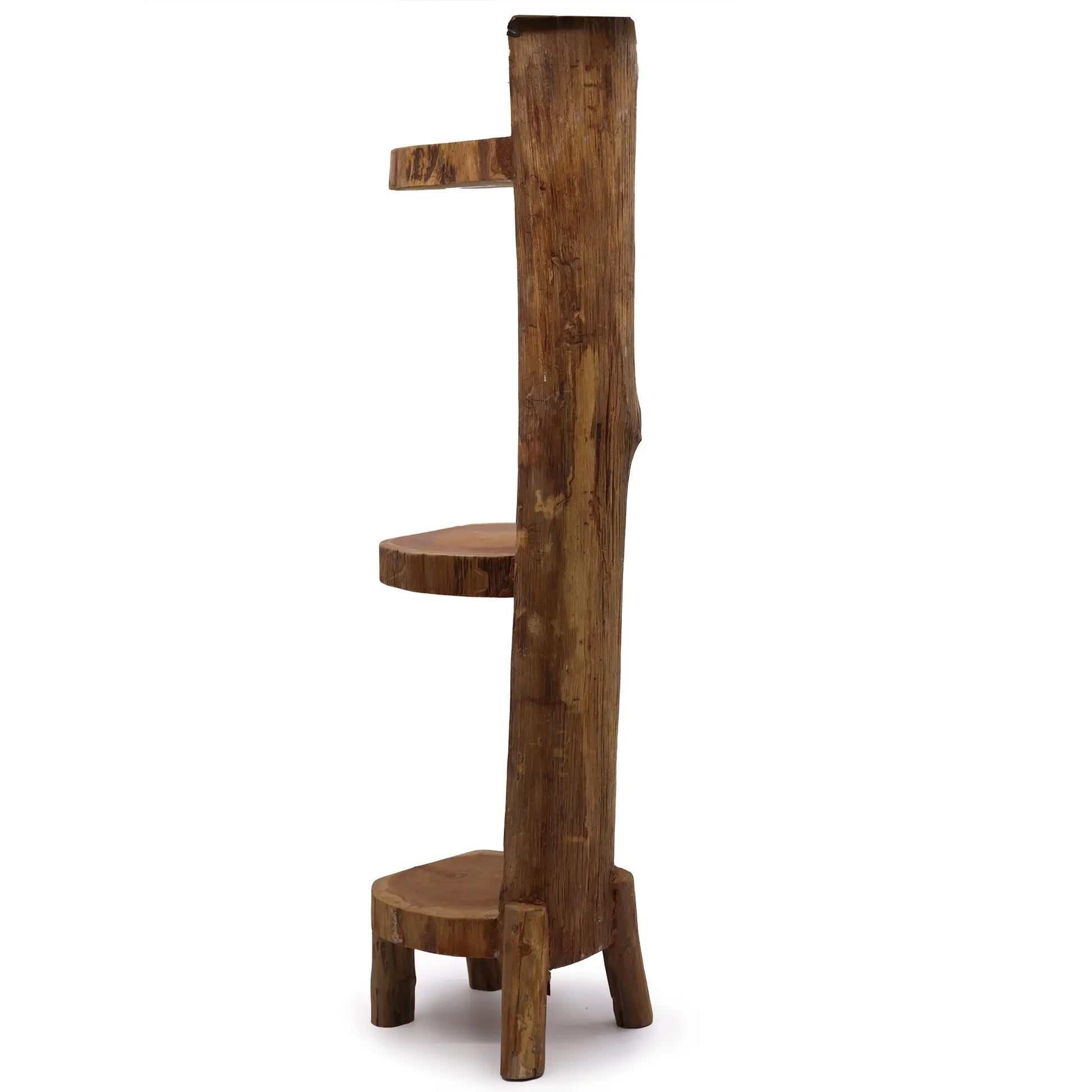 Natural Teak Log Shelve Display 3 Shelves  100cm high  TDS BlissVeranda