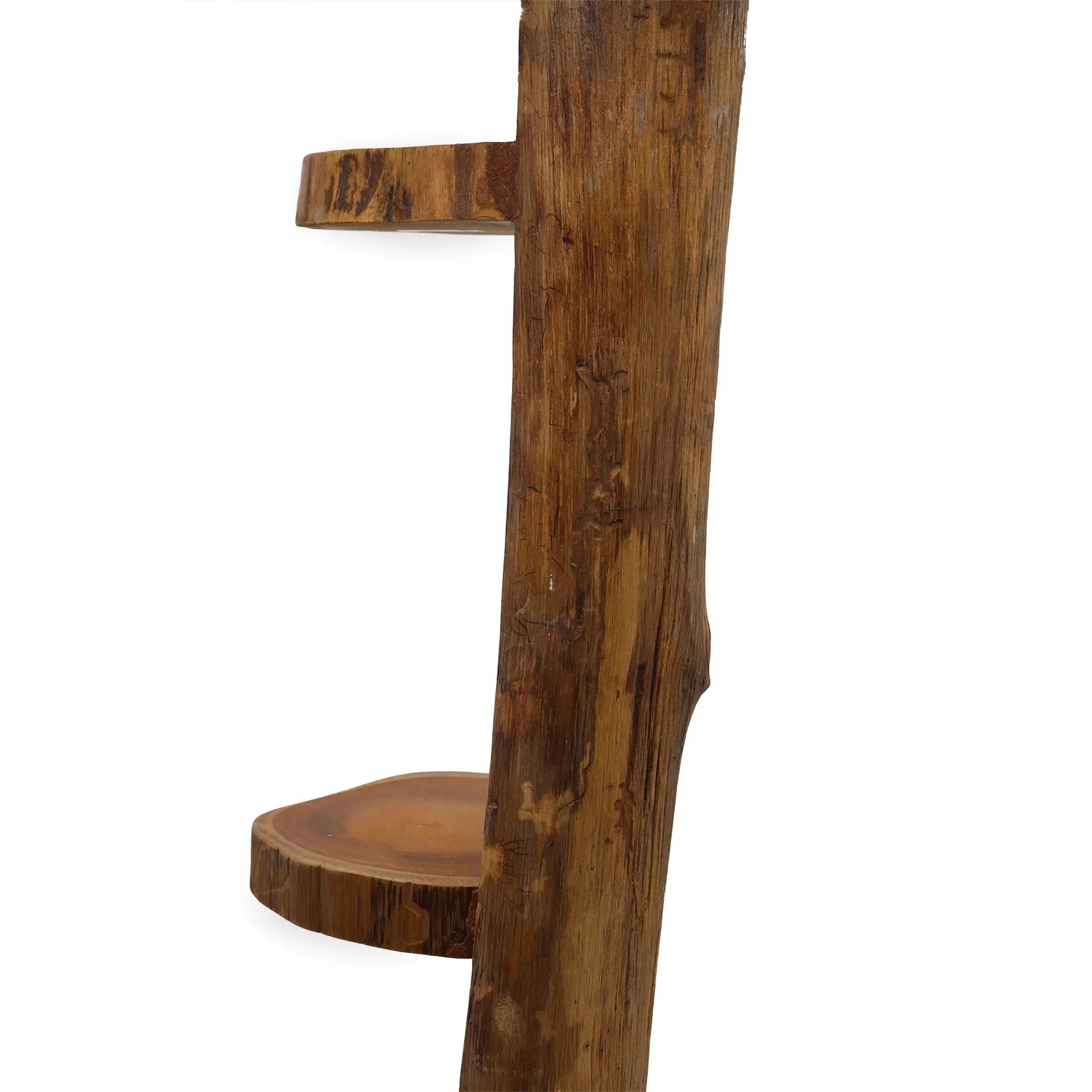 Natural Teak Log Shelve Display 3 Shelves  100cm high  TDS BlissVeranda